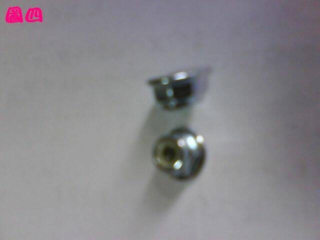 DSC00410.JPG