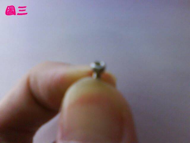 DSC00409.JPG