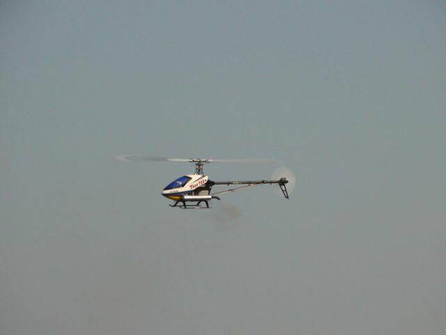 DSC01431.JPG
