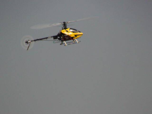 DSC01445.JPG