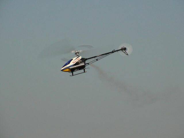DSC01434.JPG