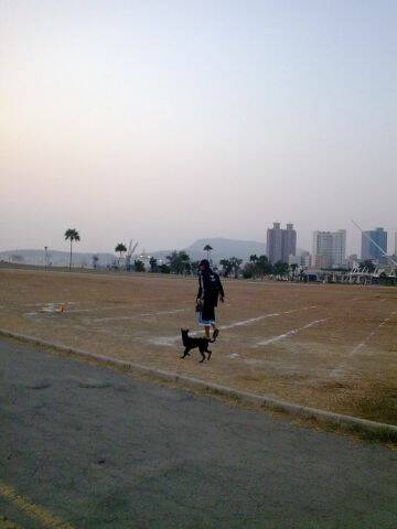 201002031990.jpg