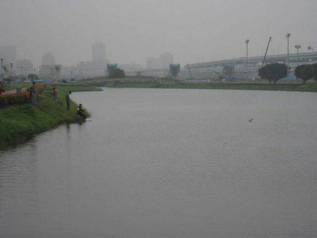 IMG_2948.jpg