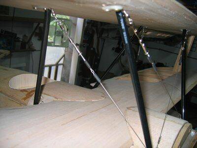 m_IMG_6379.jpg