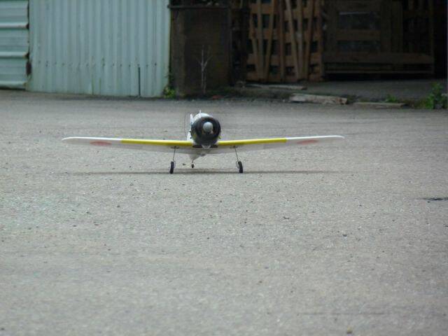 P1040796.JPG