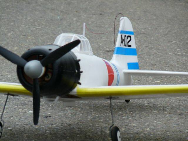 P1040798.JPG