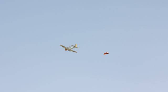IMG_3614.JPG