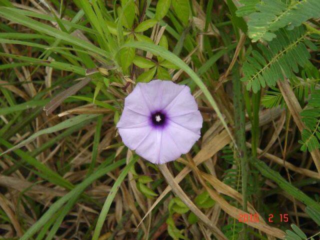 DSC02709.jpg