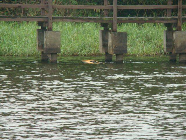 2010.02.18 年初五大聖海玩船 011.jpg