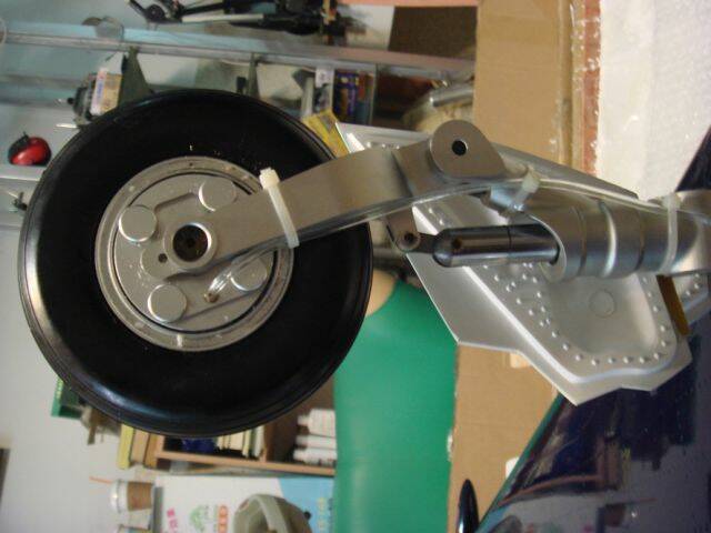 m_DSC04890.jpg