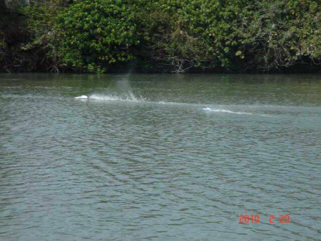 DSC02808.jpg