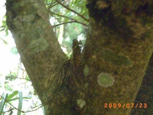 PICT0337.JPG