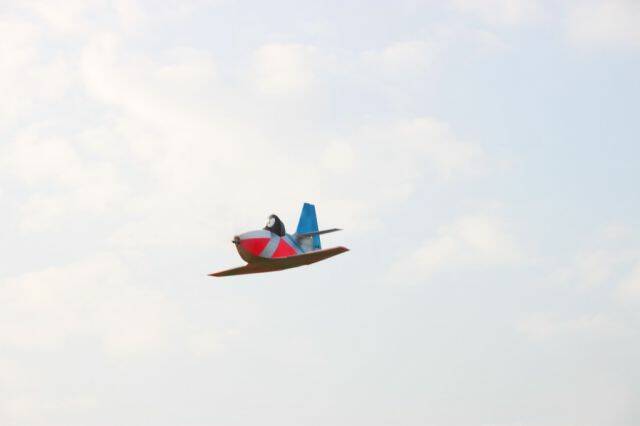 IMG_5291.JPG