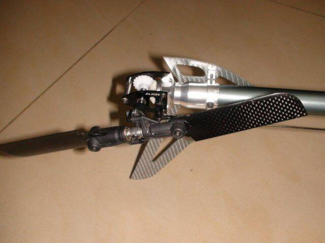 DSC01593.JPG