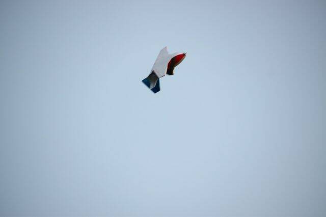 IMG_5343.JPG