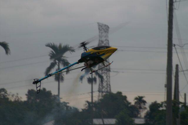 PICT7068.JPG