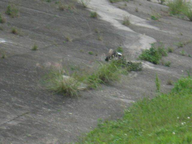 IMG_3112.jpg