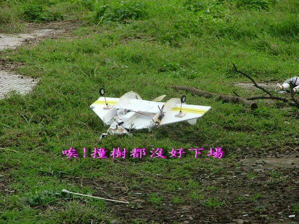 DSCF3342.jpg