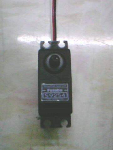 img027.jpg
