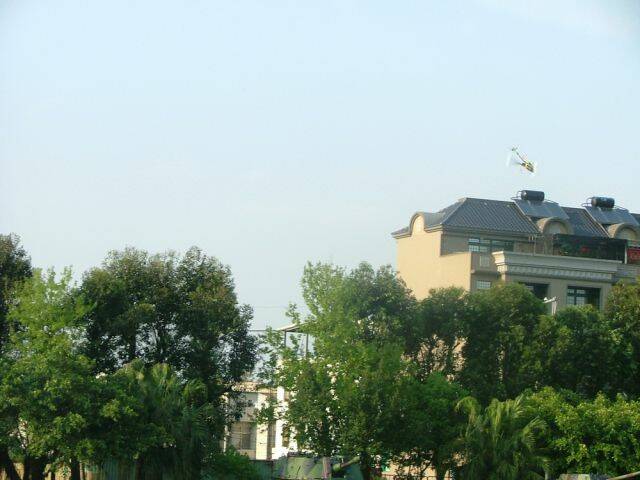 DSCF3366.jpg