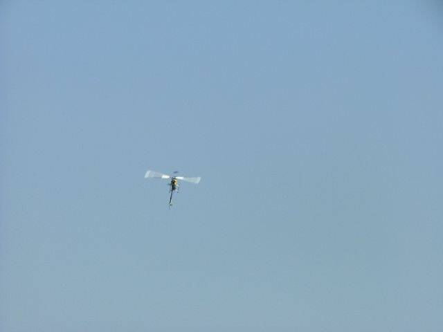 DSCF3384.jpg