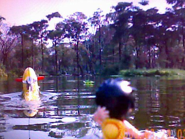 201003011085.jpg
