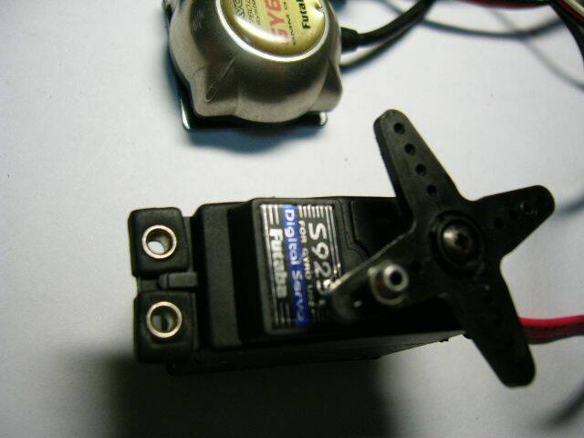 P1070525.JPG