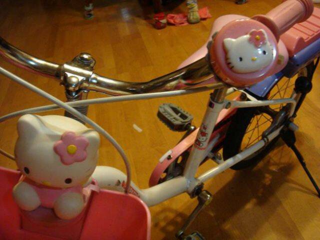 腳踏車4.JPG