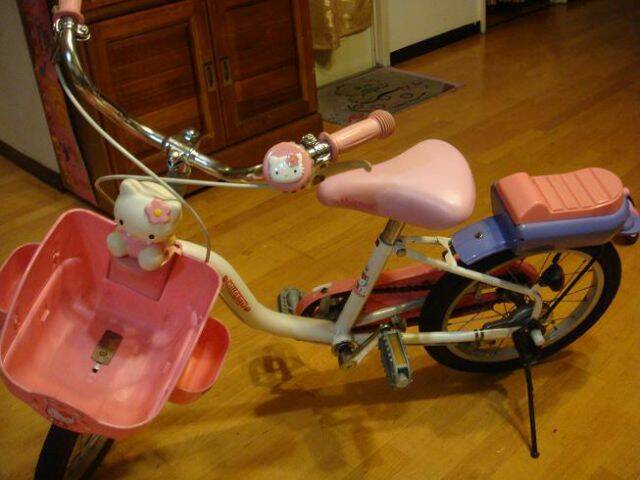腳踏車1.JPG