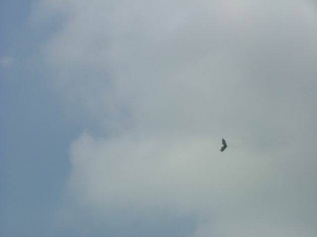 DSCF3443.jpg