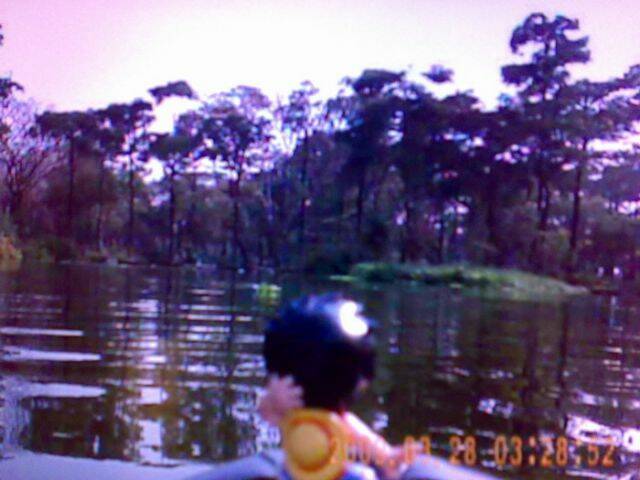 201003041146.jpg