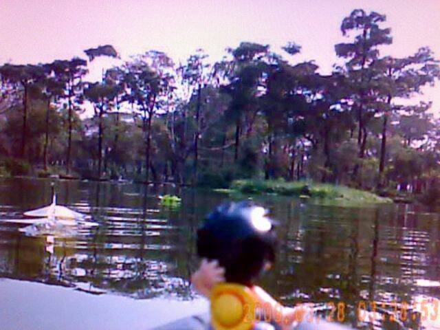 201003041147.jpg