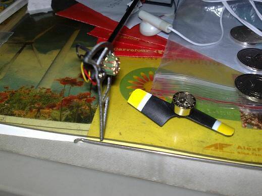 201003051601.JPG