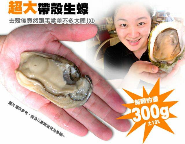best_shell_oyster_06.jpg
