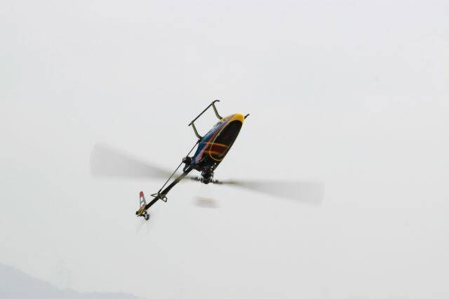 IMG_0873.jpg