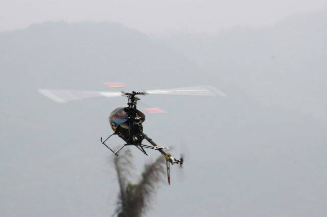 IMG_0871.jpg