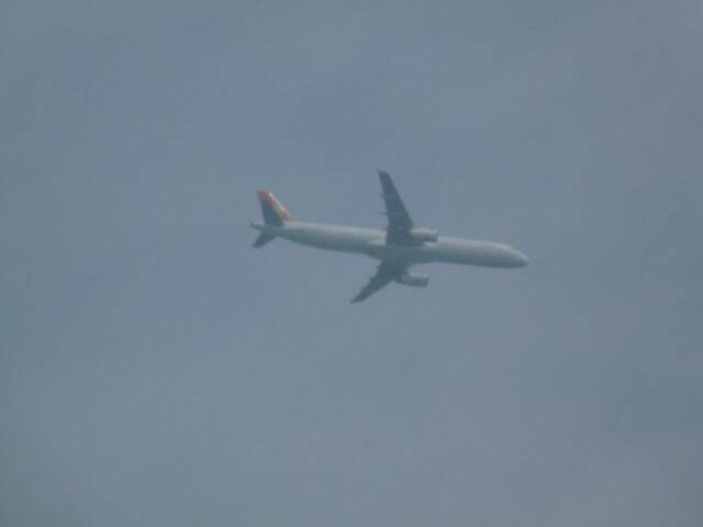 P1050015.JPG
