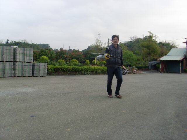 SL377683.JPG
