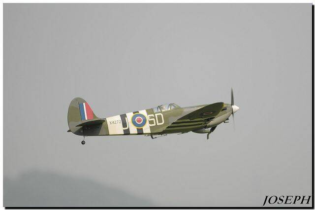 DSC_5411.JPG