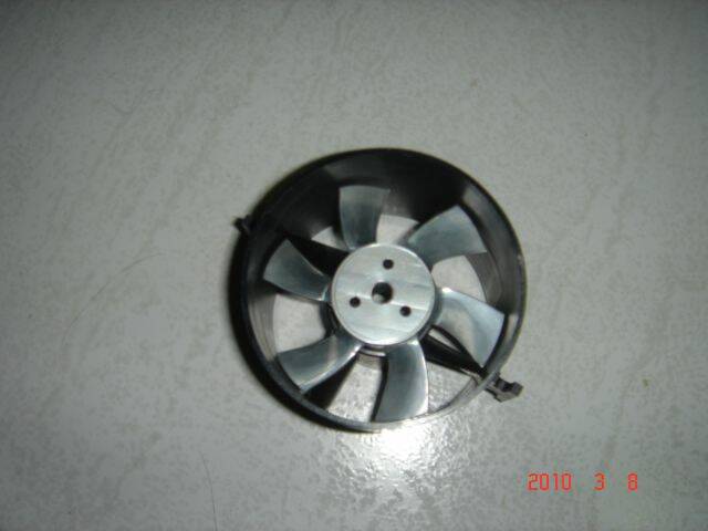 DSC04154.JPG
