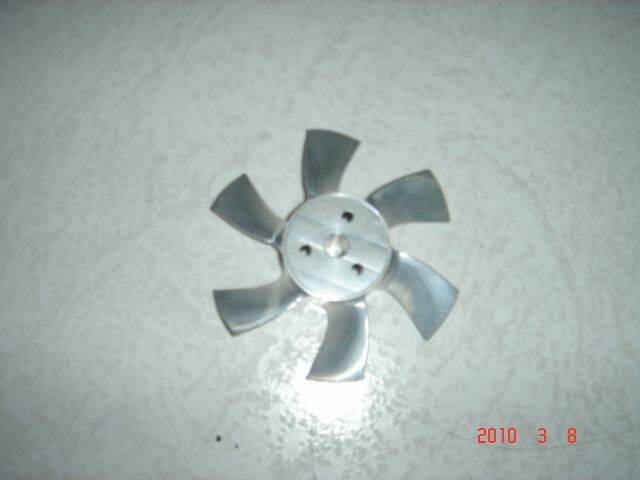 DSC04155.JPG