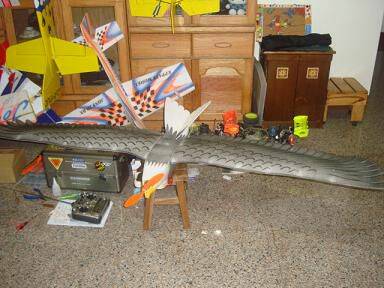 DSC02144-1.JPG