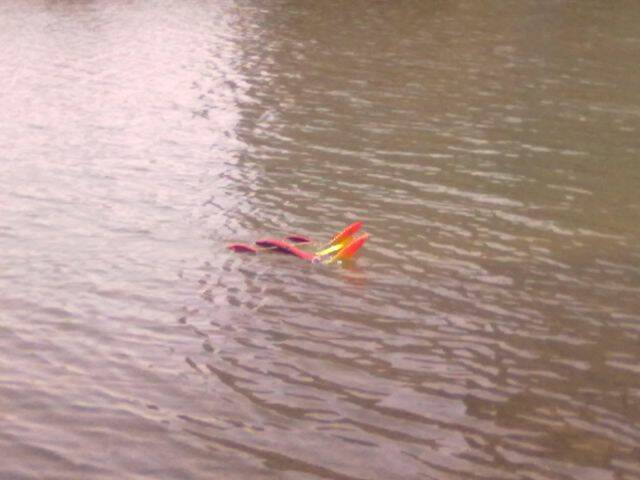 20100311002.jpg