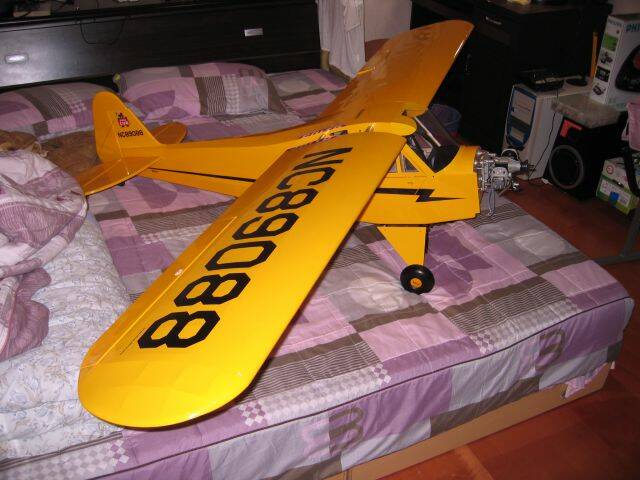 IMG_1145.jpg