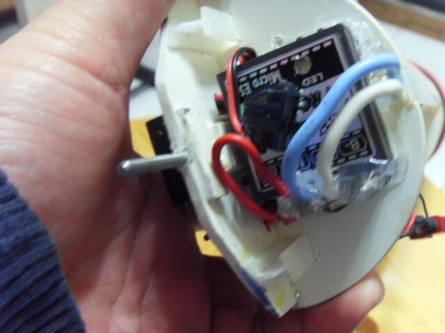 SDC12190.jpg