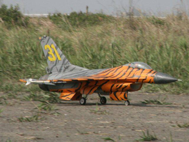 IMG_9924.JPG