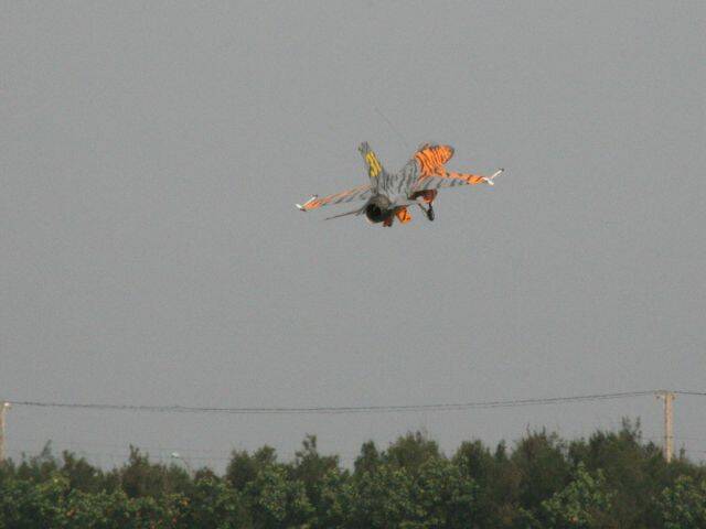 IMG_9888.JPG