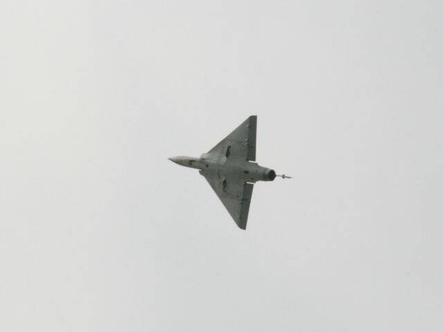 IMG_9848.JPG