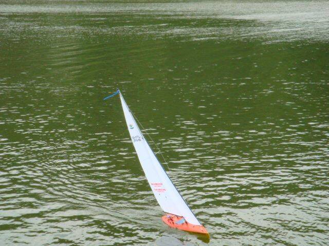 DSC01079-1.jpg
