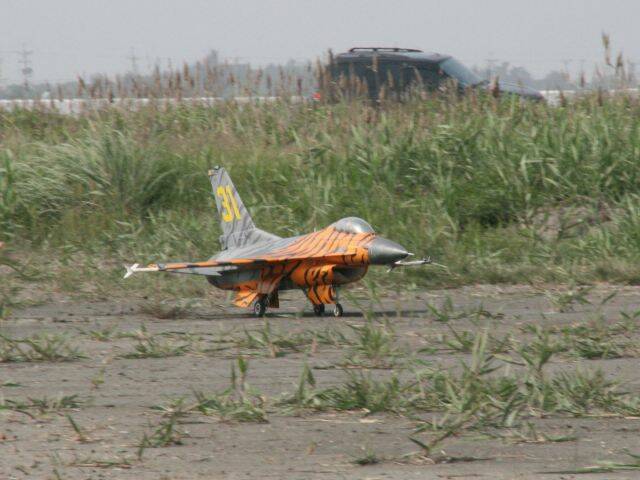 IMG_9923.JPG